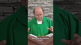 Evangelio Y Reflexión De Hoy 29 De Septiembre