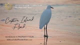 White Egret Captiva Island Florida Luxury Real Estate