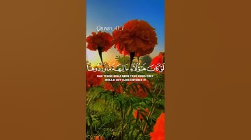 القرآن الكريم بصوت محمد اللحيدان #trending #اكسبلور #القرآن_الكريم