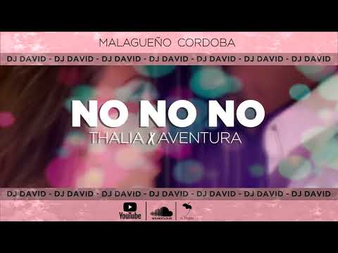 Thalia ft Aventura - DJ David - No No No (Remix 2023)