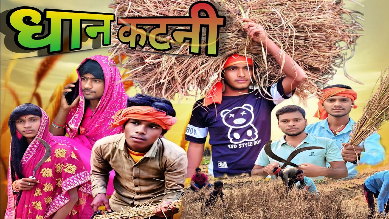 धान कटनी Comedy funny 🤣 video// 