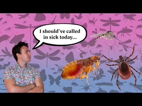 Insects and Disease
