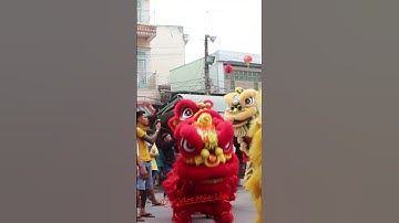 Múa lân hay nhất 2023 tại chùa bà Bình Dương