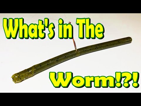 Video: 20 år Senere Forbliver Worms En Komediklassiker