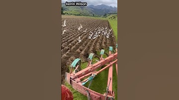 Kverneland RB 85 Ploughing | Precision Fieldwork at Its Best