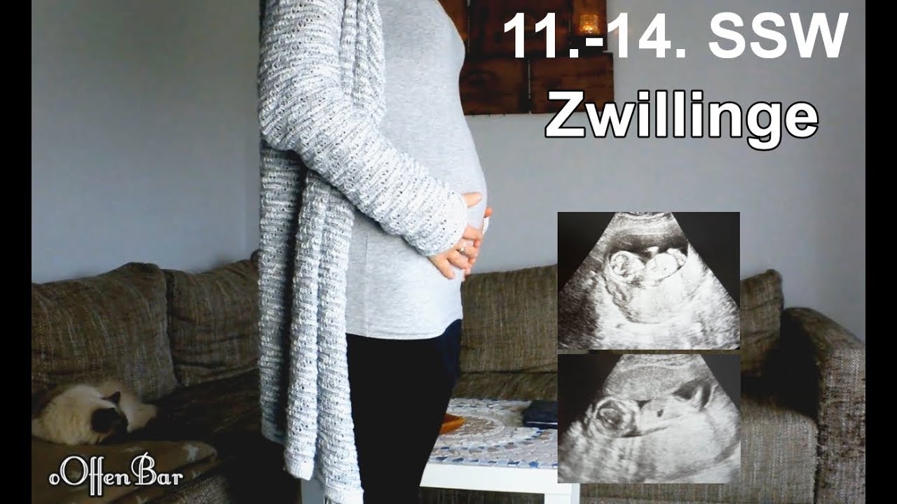 11 14 Schwangerschaftswoche Zwillinge Babybauch Symptome Ooffenbar Youtube