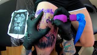 LION PORTRAIT TIMELAPSE