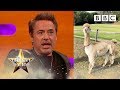 Robert Downey Jr: the Avenger that owns LLAMAS?!? | The Graham Norton Show - BBC