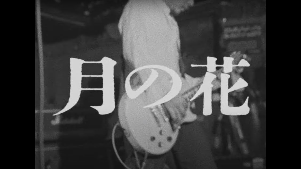 LINK - 月の花 - Music Video - YouTube