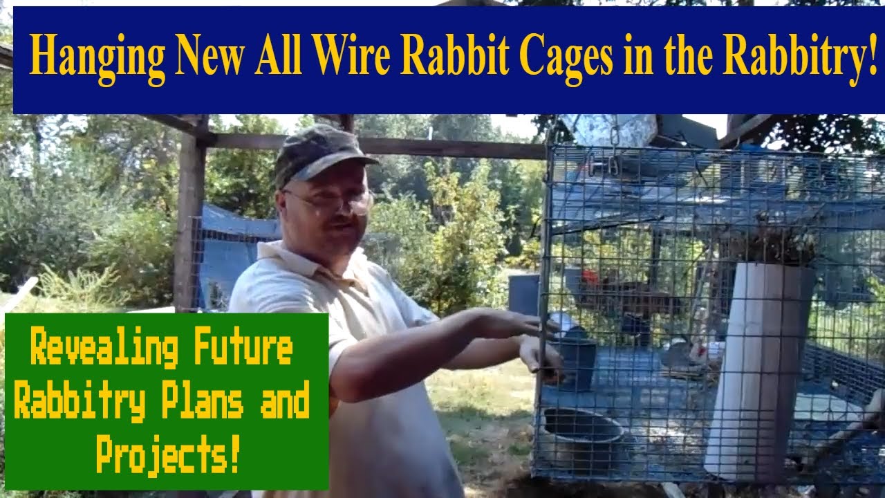 Rabbitry Update - Hanging New All Wire Rabbit Cages and Upcoming Plans ...