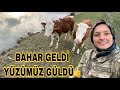 BAHARIN GELİŞİ MERA HAYVANCILIĞINI BAŞLATTI👍💯İFTAR MENÜSÜ