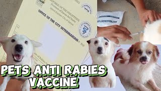 PETS ANTI RABIES VACATION AT SAMAL ISLAND #antirabiesvaccine #pets