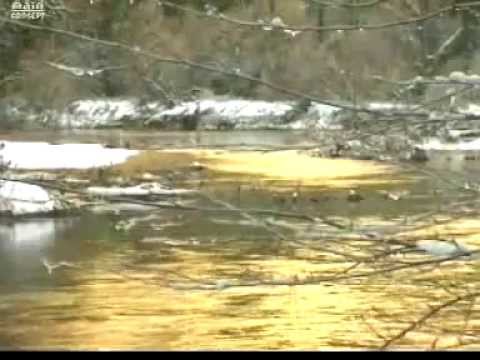 Yulia Yasmin - Kau Selalu Di Hatiku | Dangdut (Official Music Video)