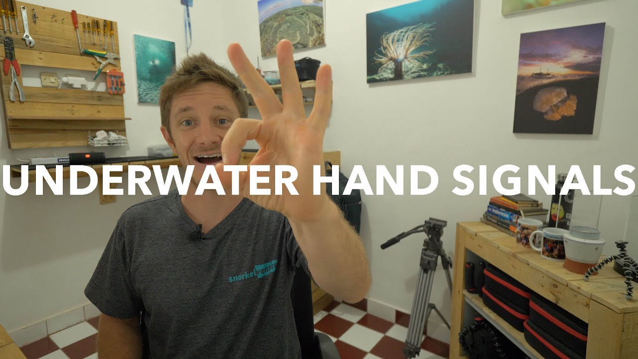 Underwater Hand Signals