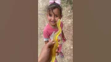 انطيت حية لمعصومه 