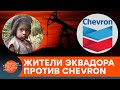 Загрязненная Амазонка и массовая онкология в Эквадоре. Грехи нефтяного гиганта Chevron — ICTV