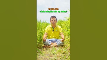 Mùa mưa, nên bón phân rước hạt không? #nongduoctoancau #lua #chiase #vogao #kythuattronglua  #ndtc