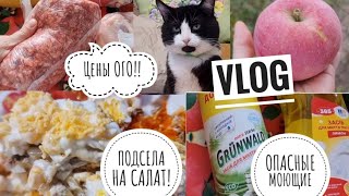 картинка: 14. ПРОСТО ПОКАЗАЛА  ЖИЗНЬ. ДОМАШНИЕ ДЕЛА. УЮТНЫЙ ВЛОГ.