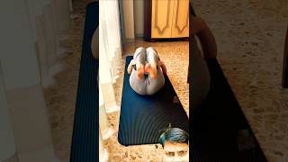 Leg Stretch Yoga Shorts Video