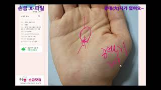 [손금X-파일] 손바닥에 큰대자(大)가 있어요~