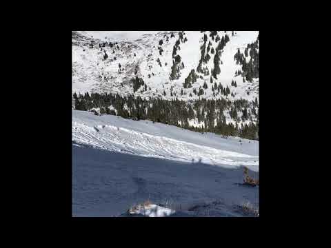 Sawatch Range November 13, 2020 | Skier Triggered Avalanche