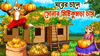 🍅 ঘরের চালে সোনার মিষ্টি কুমড়া চাষ | Fox Cartoon |Bangla Cartoon | Siyaler Cartoon Rupkothar Golpo 🍅