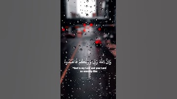 بصوت القارئ |محمد هشام |💚 #quran