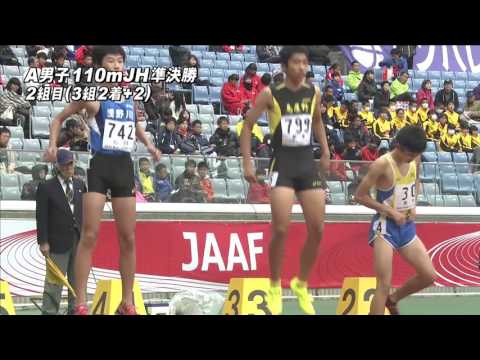 A 男子110mJH 準決勝2組　第47回ジュニアオリンピック