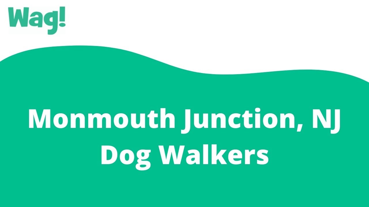 Monmouth Junction, NJ Dog Walkers Wag! YouTube