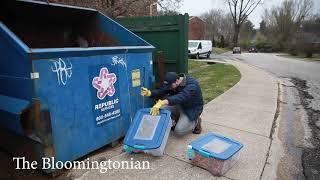 Live rats and mice rescued after being put in dumpster at Bloomington apartment complex