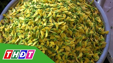 Sản vật mùa nước nổi miền tây vào mùa | THDT