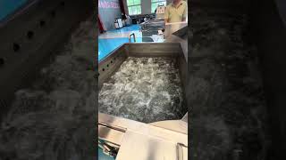 Frying blanching cooling washing machine with auto basket #foodprocessingequipment #fryer #machine
