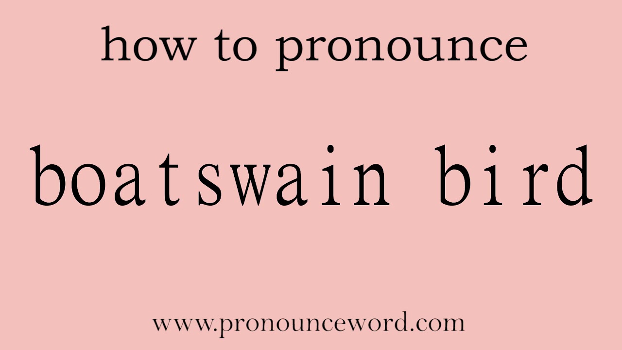 boatswain bird. How to pronounce the english word boatswain bird .Start