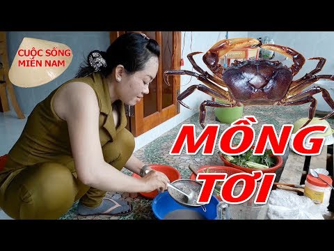 Cách nấu canh cua - Canh Cua Đồng mồng tơi - Nam Việt 250