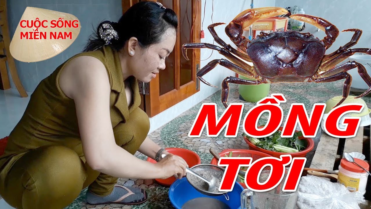 Hướng dẫn Cách nấu canh cua – Canh Cua Đồng mồng tơi – Nam Việt 250