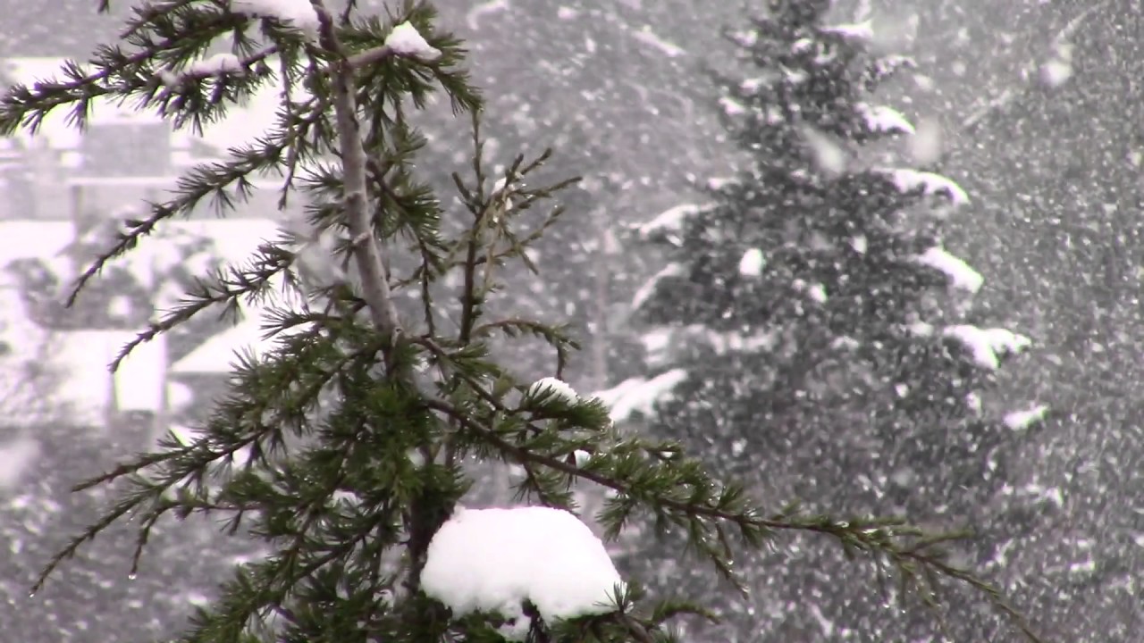 Canon VIXIA HF R700 Camcorder - Zoom snow test
