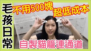 【毛小孩#04】不用500塊超低成本DIY貓籠連通道