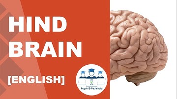 Hind Brain [English] - Psych E-Pathshala