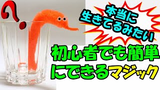 S9◆まるで生きている様にクネクネ動く！つちのこ◆初心者でもできる簡単マジック手品　種明かし