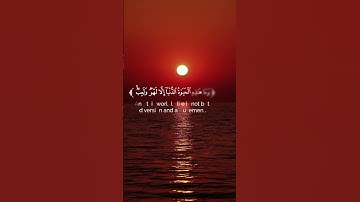 قرآن كريم 🌿تلاوة من سورة العنكبوت 🌿القارئ ياسر الدوسري 🌿 #اكسبلور #المصحف