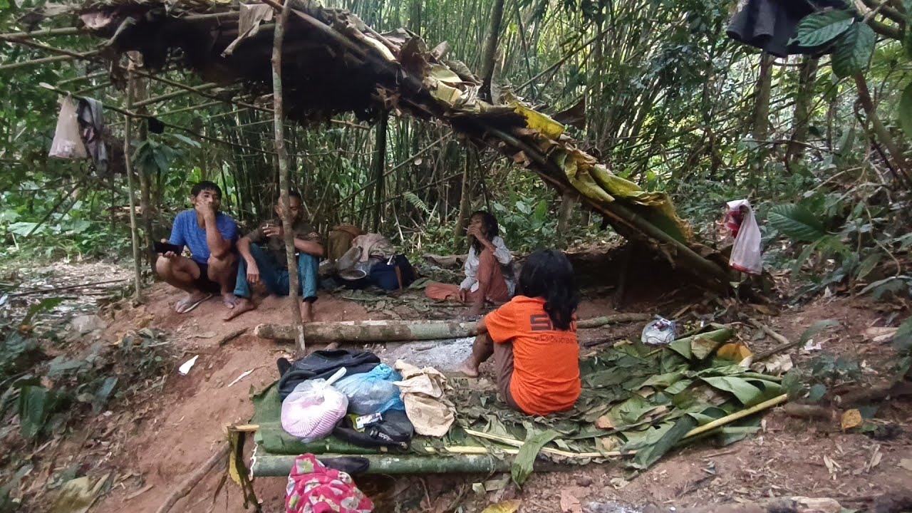 ความสุขที่แท้จริงของพวกเขาคืออยู่ในป่านี่เองหาสมุนไพรป่า คนป่า ตองเหลือง ຄົນປ່າ ຕອງເຫຼືອງ bn saolao 