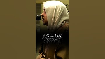 ﴿ كـَلَّآ إِنَّ ٱلۡإِنسَٰنَ لَيَطۡغَىٰٓ ﴾ تلاوة عراقية بديعة للشيخ عمر الدريويز 🖤