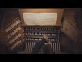 Johann Sebastian Bach, Toccata in d-Moll ("Dorische") BWV 538/1