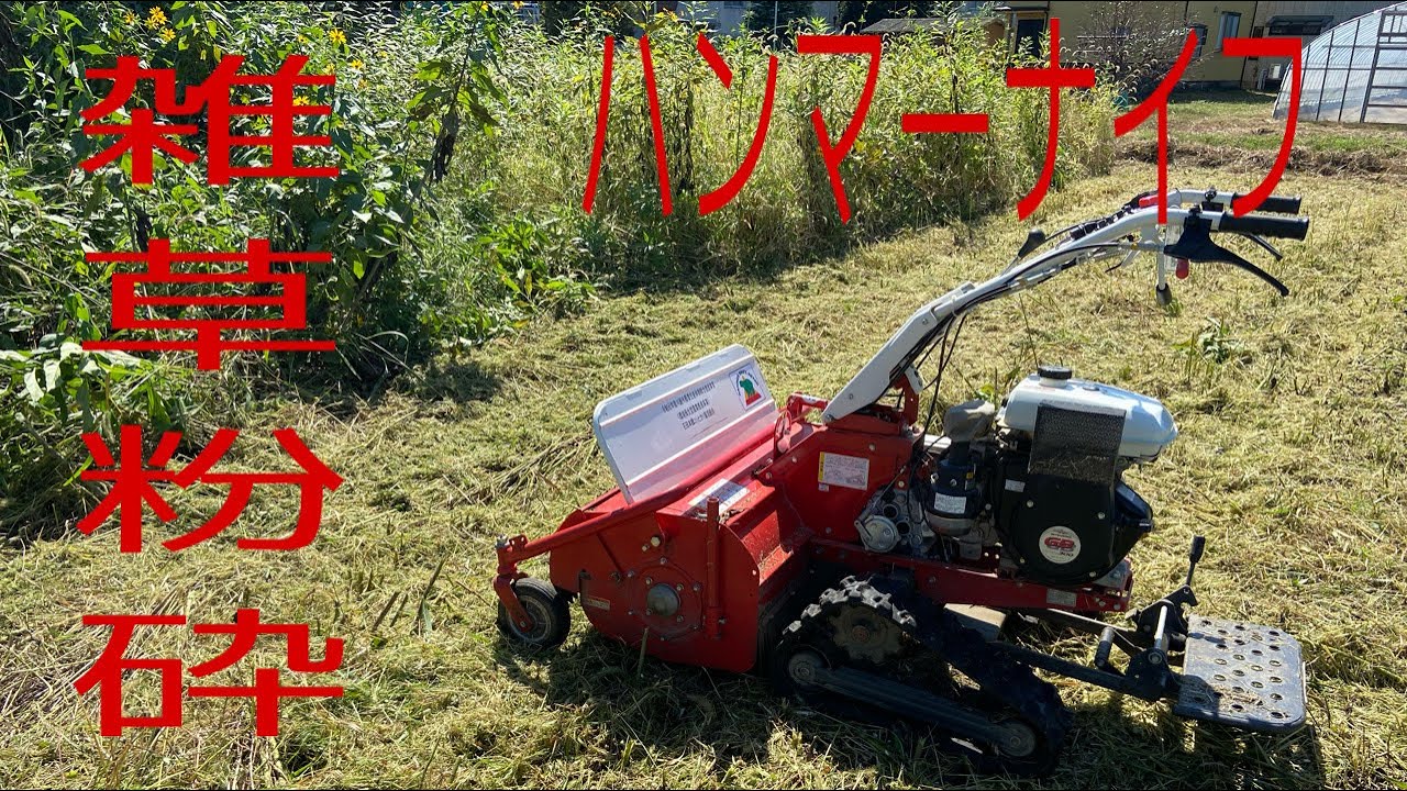 雑草ジャングルをハンマーナイフで粉砕 - YouTube
