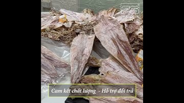 Địa Chỉ Mua Mực Khô Câu Vân Đồn Quảng Ninh Ngon Nhất
