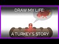 Draw My Life: A Turkey's Story - Paper Style!