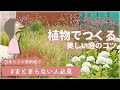 実例で学ぶ植物で作る美しい庭のコツ【お庭計画編-35】