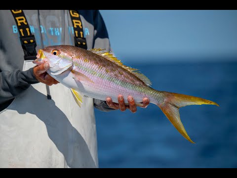Key Largo Patch Reef Fishing with Richard Black - Saltwater Experience