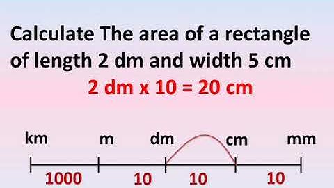 grade 4 maths first term unit 4 lesson 2 fill the space ( finding area ) ماث رابعة ابتدائى منهج جديد