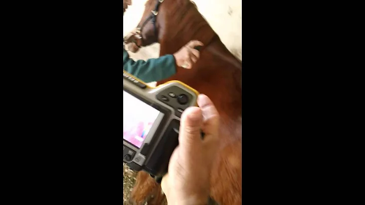 Dr. Mayur M Dev and Randy Colton, PRM used on hors...